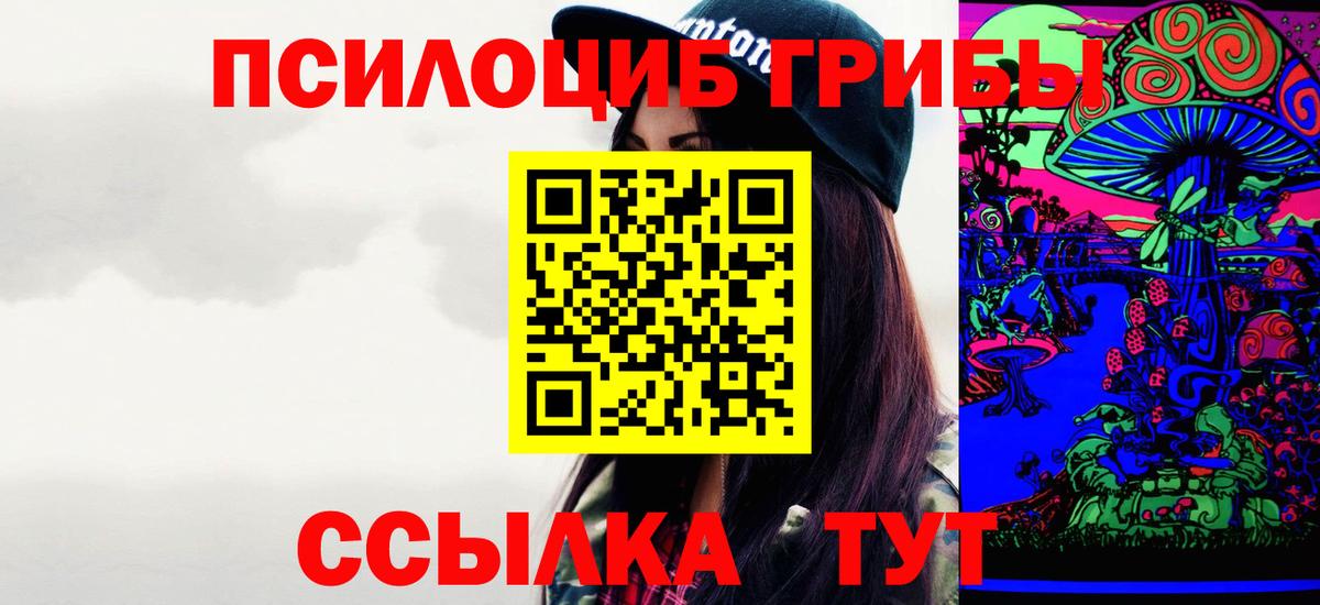 Галлюциногенные грибы MAGIC MUSHROOMS  Псилоцибиновые грибы Magic Shrooms  Вход с VPN  купить наркотики сайты  Зеленодольск 