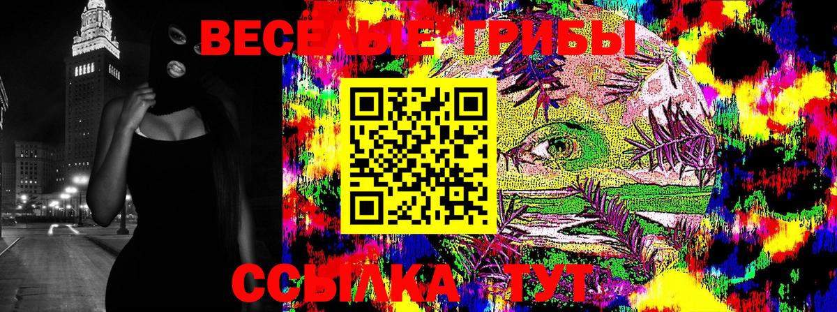 Галлюциногенные грибы GOLDEN TEACHER Зеленодольск